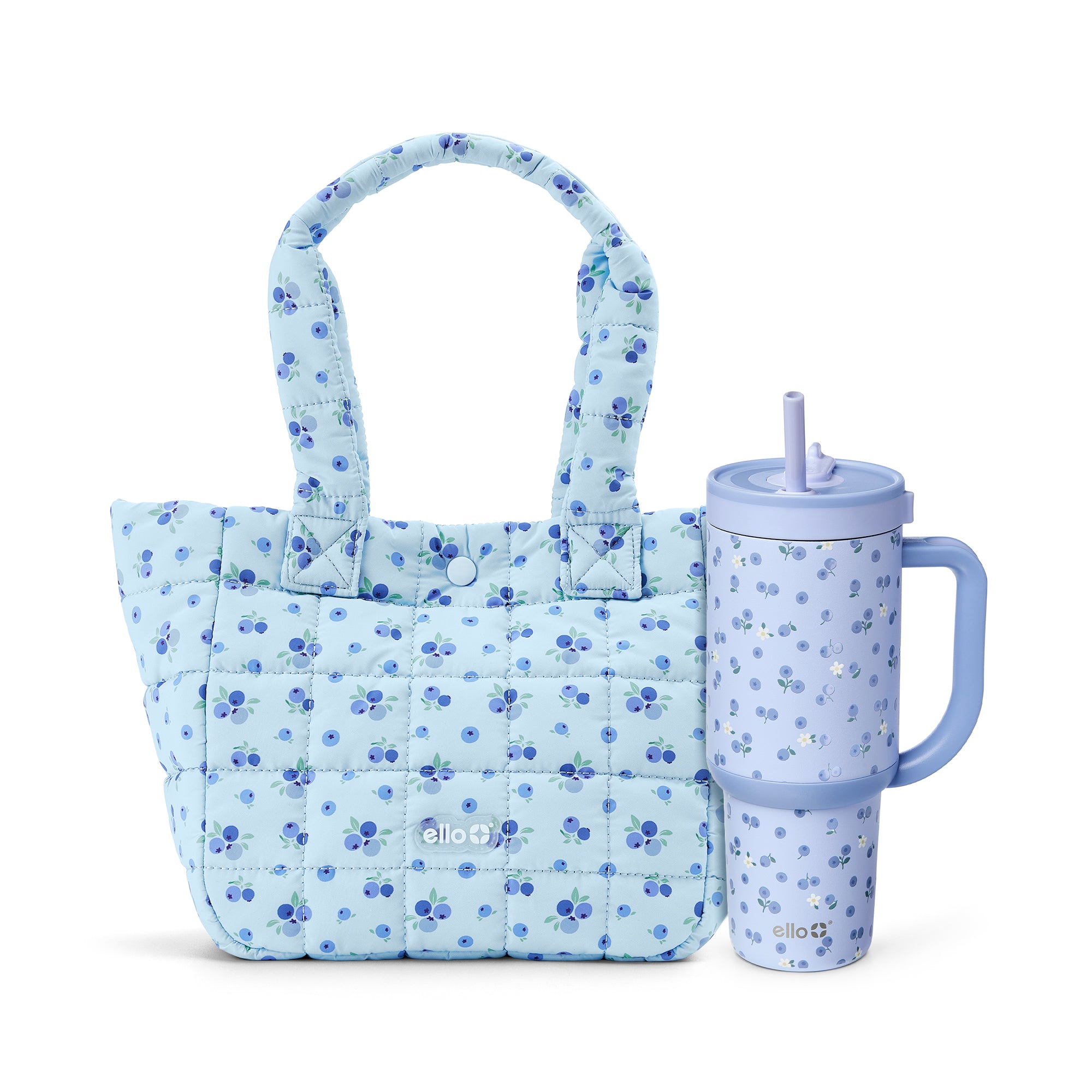 BlueberryBundle.jpg